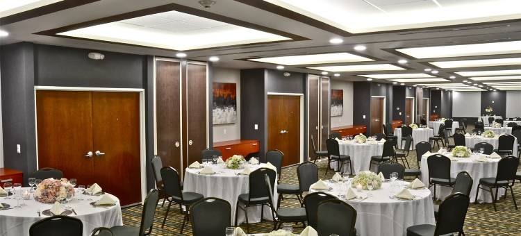 Holiday Inn 坦皮科阿尔塔米拉(Holiday Inn Tampico Altamira)图片