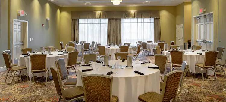 圣路易斯机场希尔顿花园酒店(Hilton Garden Inn St. Louis Airport)图片