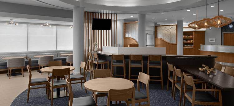 休斯顿洲际机场万豪SpringHill酒店(SpringHill Suites Houston InterContinental Airport)图片