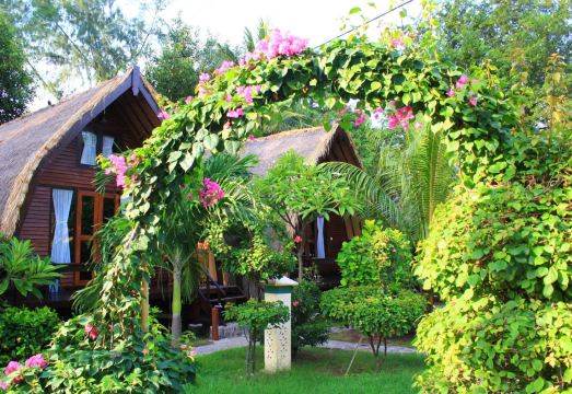 Turtle Beach Hotel Hotel Overview