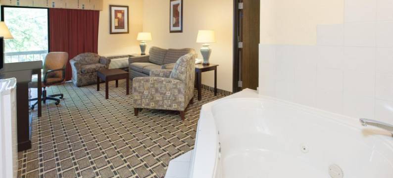麦迪逊高地戴斯套房酒店(Days Inn & Suites by Wyndham Madison Heights MI)图片