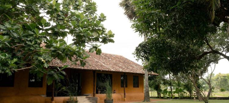 基林稻香岛(Kirindi Paddy Isle)图片