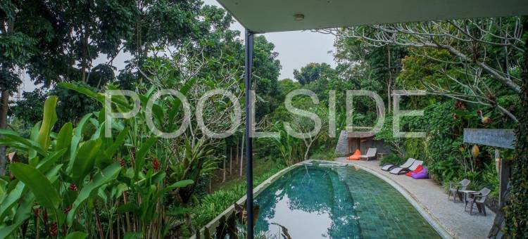 Rumah Lereng Bandung图片