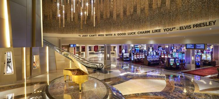 塞米诺尔硬石酒店及坦帕(Seminole Hard Rock Hotel and Casino Tampa)图片