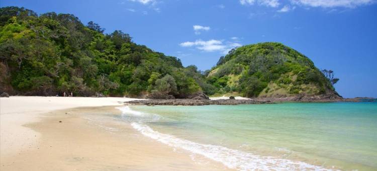 Bks圣诞红花小屋(BK's Pohutukawa Lodge)图片