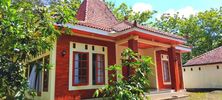 阿米尼旅馆(Amini Guest House)图片