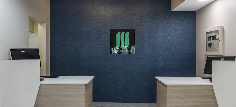 布恩波纳伊斯 - 坎卡基美茵斯坦套房酒店(MainStay Suites Bourbonnais - Kankakee)图片