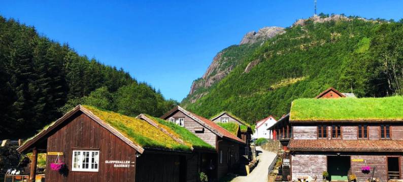 Byrkjedalstunet 酒店(Byrkjedalstunet Hotell)图片