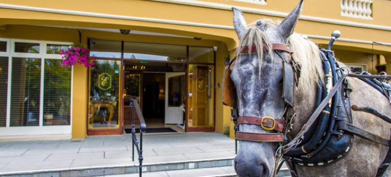 伯爵宫酒店(Earls Court House)图片