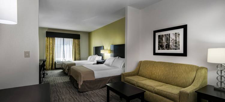 智选假日套房酒店江伟(Holiday Inn Express & Suites Conway)图片