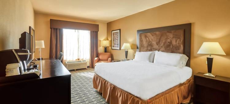 智选假日套房酒店比维尔 by IHG(Holiday Inn Express & Suites Beeville by IHG)图片