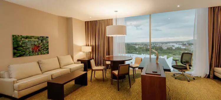 墨西哥普埃布拉安荷洛波里斯希尔顿花园酒店(Hilton Garden Inn Puebla Angelópolis)图片