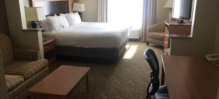 智选假日套房酒店夏洛特康和I - 85(Holiday Inn Express & Suites Charlotte-Concord-I-85)图片