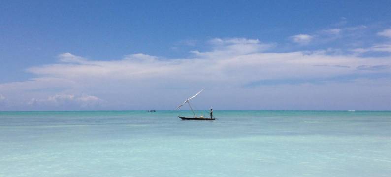 巴拉卡水上平房酒店(Baraka Aquarium Bungalows)图片