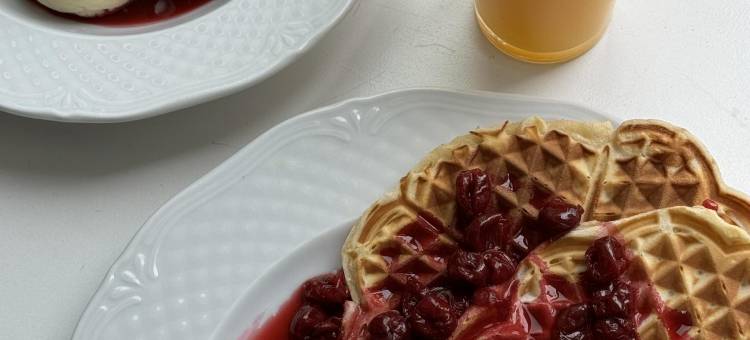 奥芬巴赫酒店(Offenbacher Hotel)图片