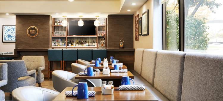 芝加哥韦斯贾斯特 - 橡树溪福朋喜来登酒店(Four Points by Sheraton Chicago Westchester/Oak Brook)图片