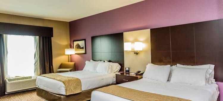 Holiday Inn Express 奇克托瓦加(Holiday Inn Express Cheektowaga North East)图片