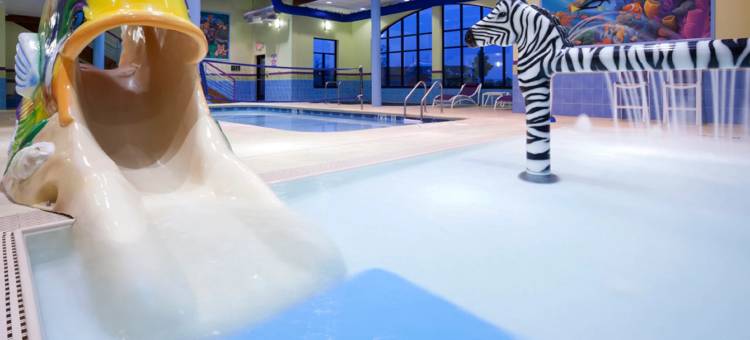 罗杰斯智选假日酒店及套房(Holiday Inn Express & Suites Rogers)图片