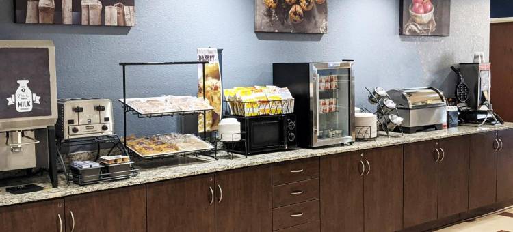 温德姆密歇根市麦客达套房旅馆(Microtel Inn & Suites by Wyndham Michigan City)图片