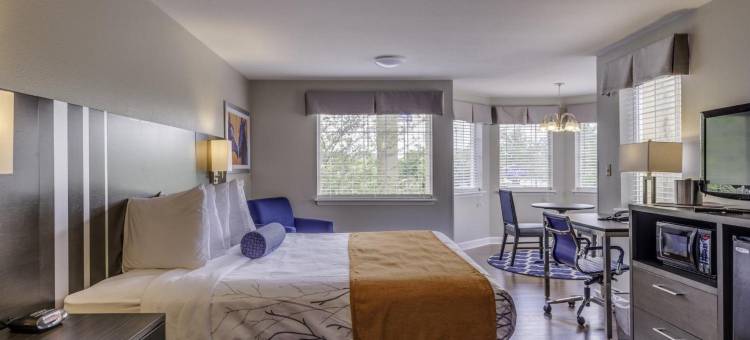 旅栈套房酒店-列克星敦(GuestHouse Lexington)图片