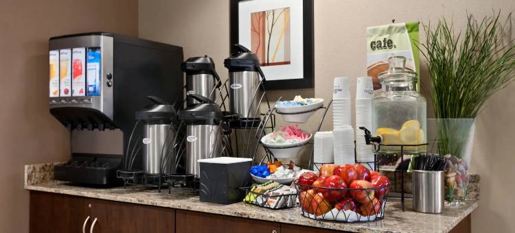 圣克莱尔维尔麦客达套房酒店(Microtel Inn & Suites by Wyndham St Clairsville/Wheeling)图片