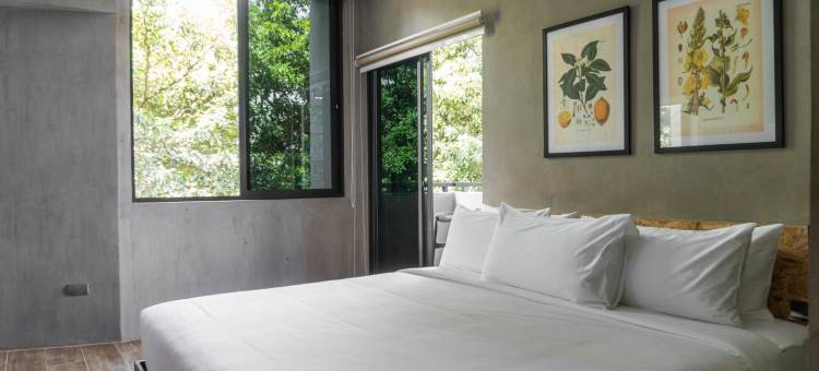 杜马格特酒店(Hotel Dumaguete)图片