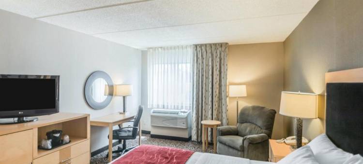 纽约州游乐场舒适酒店(Comfort Inn - Nys Fairgrounds)图片