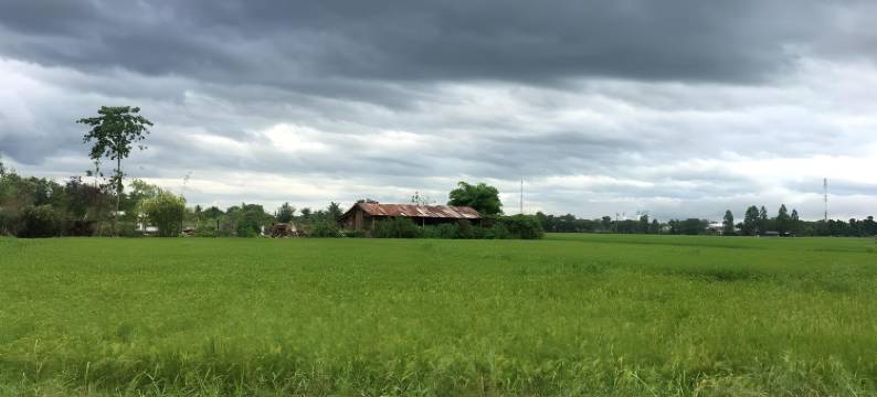 帕府班诺伊度假村(Ban Noi Resort Phrae)图片