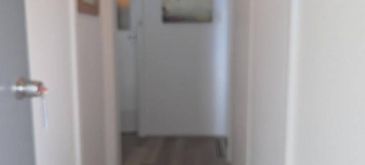 海滨路汽车旅馆(Ocean Drive Motel)图片