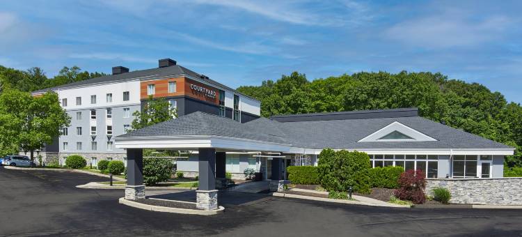 罗彻斯特东/潘菲尔德万怡酒店(Courtyard Rochester East/Penfield)图片