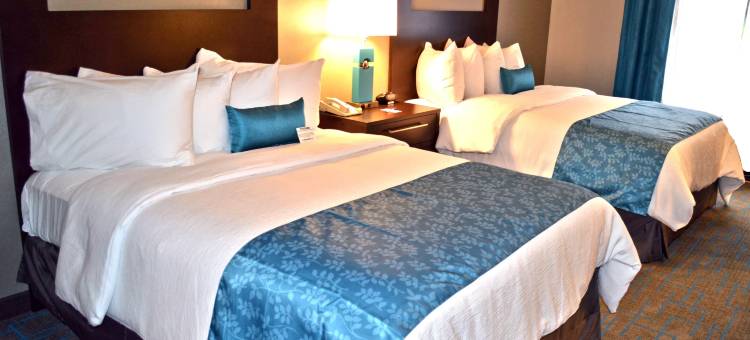 锡拉丘兹机场假日套房酒店(Holiday Inn & Suites - Syracuse/Airport)图片