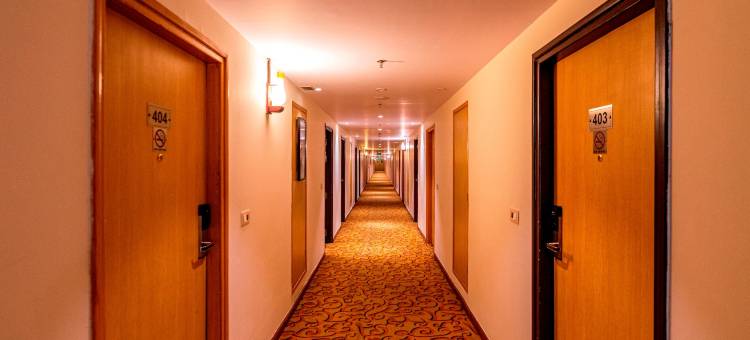 温德姆华美达尼姆拉纳酒店(Ramada by Wyndham Neemrana)图片