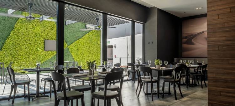 华雷斯城万怡酒店(Courtyard Ciudad Juarez)图片