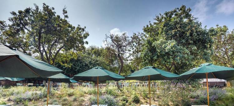 邓尼奇船舶旅馆(The Ship at Dunwich)图片