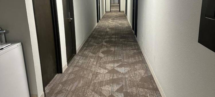 威斯康星威斯康星拉皮兹 6 号汽车旅馆(Motel 6 Wisconsin Rapids, WI)图片