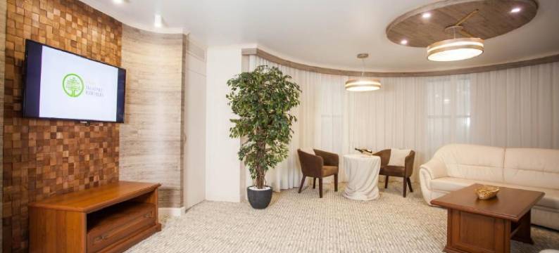 南梧桐酒店(Platan Yuzhniy Hotel)图片