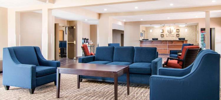 章克申城舒适套房酒店-近莱利堡(Comfort Inn & Suites Junction City - Near Fort Riley)图片