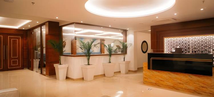 印多尔伟杰纳加尔普莱奥特尔酒店(Playotel Premier Vijay Nagar)图片