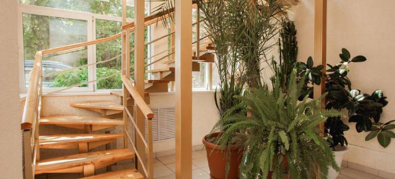 风格酒店(Stil Guest House)图片