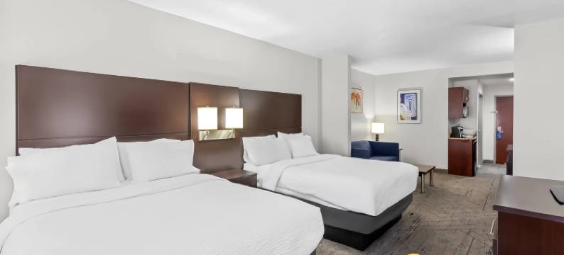 智选假日套房酒店南横车道(Holiday Inn Express & Suites CHARLESTON NW - CROSS LANES by IHG)图片