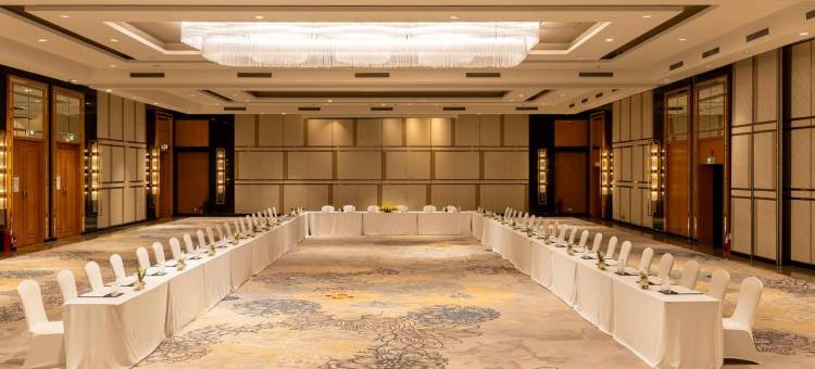 齐普尔通克路洲际酒店(InterContinental Hotels JAIPUR TONK ROAD by IHG)图片