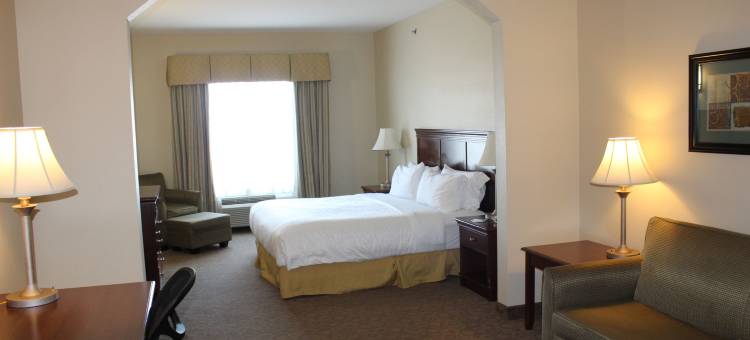 智选假日套房酒店雪松山(Holiday Inn Express & Suites Dallas Southwest-Cedar Hill)图片