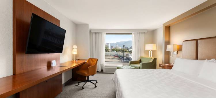 洲际圣何塞拉萨瓦纳假日酒店(Holiday Inn San Jose la Sabana)图片