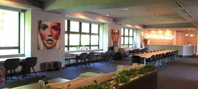 新雪谷中城酒店(Midtown Niseko)图片