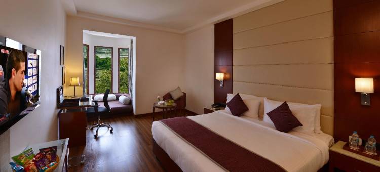 洛茲广场酒店(Lords Plaza Jaipur)图片