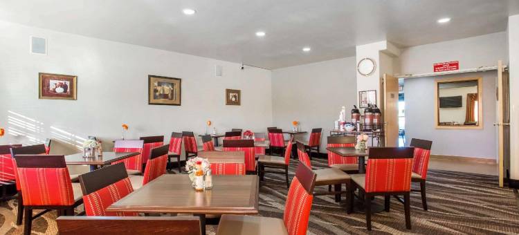 舒适套房酒店(Comfort Inn & Suites)图片