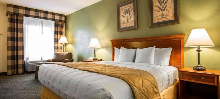 艾肯南克拉丽奥酒店及套房(Clarion Inn & Suites Aiken South)图片