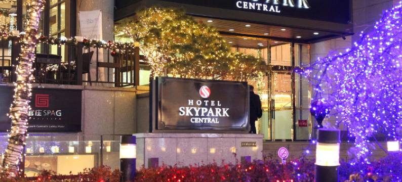 天空花园酒店明洞中心店(Hotel Skypark Central Myeongdong)图片