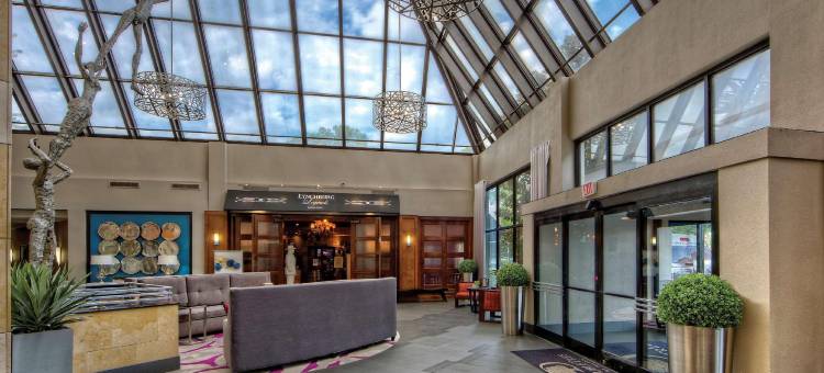 孟菲斯逸林酒店(DoubleTree by Hilton Memphis)图片