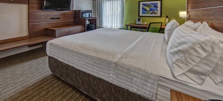 Holiday Inn Express 孟菲斯医疗中心MIDTOWN(Holiday Inn Express MEMPHIS MEDICAL CENTER MIDTOWN by IHG)图片